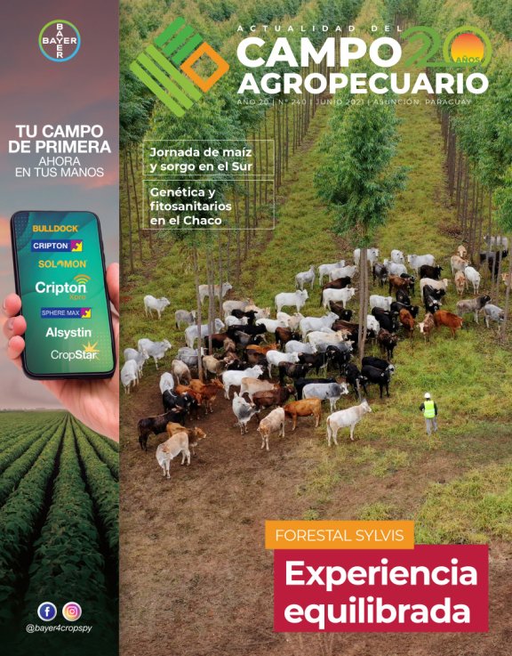 Experiencia equilibrada