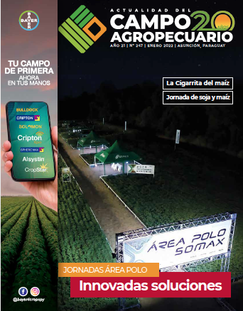 Innovadas Soluciones